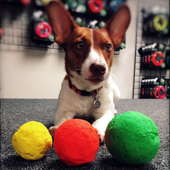 Pet Supplies