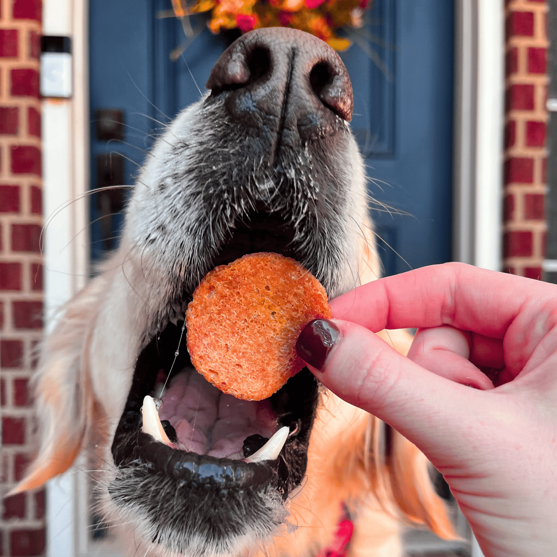 Turkey Feast Chips