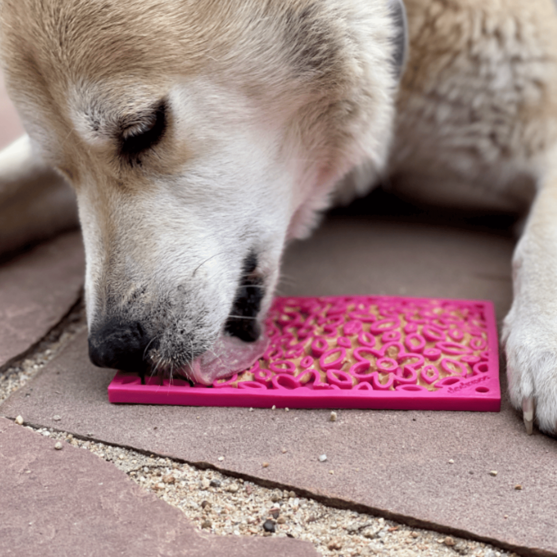 Lick Mats for Cats and Small Dogs