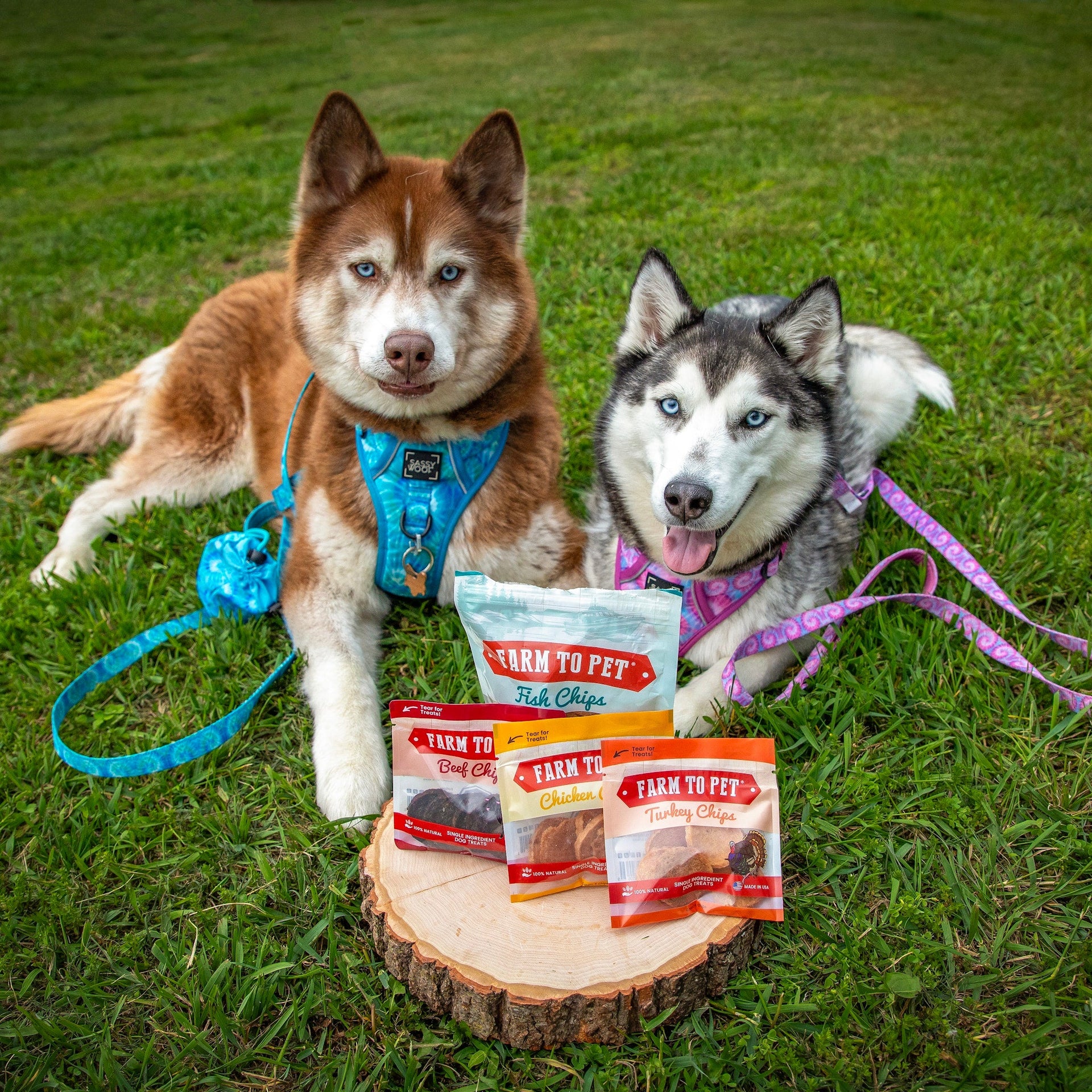 Puppy Packs 'n Snacks Dog Treat Starter Pack | Single-Ingredient Training Treats
