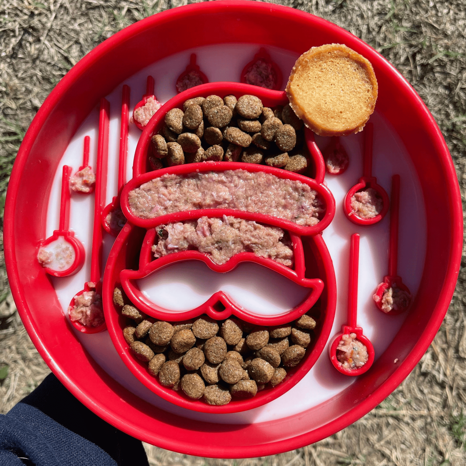 Slow Feeder Dog Bowls