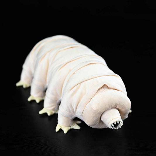 Cute Dinosaur Doll With Plush Toys