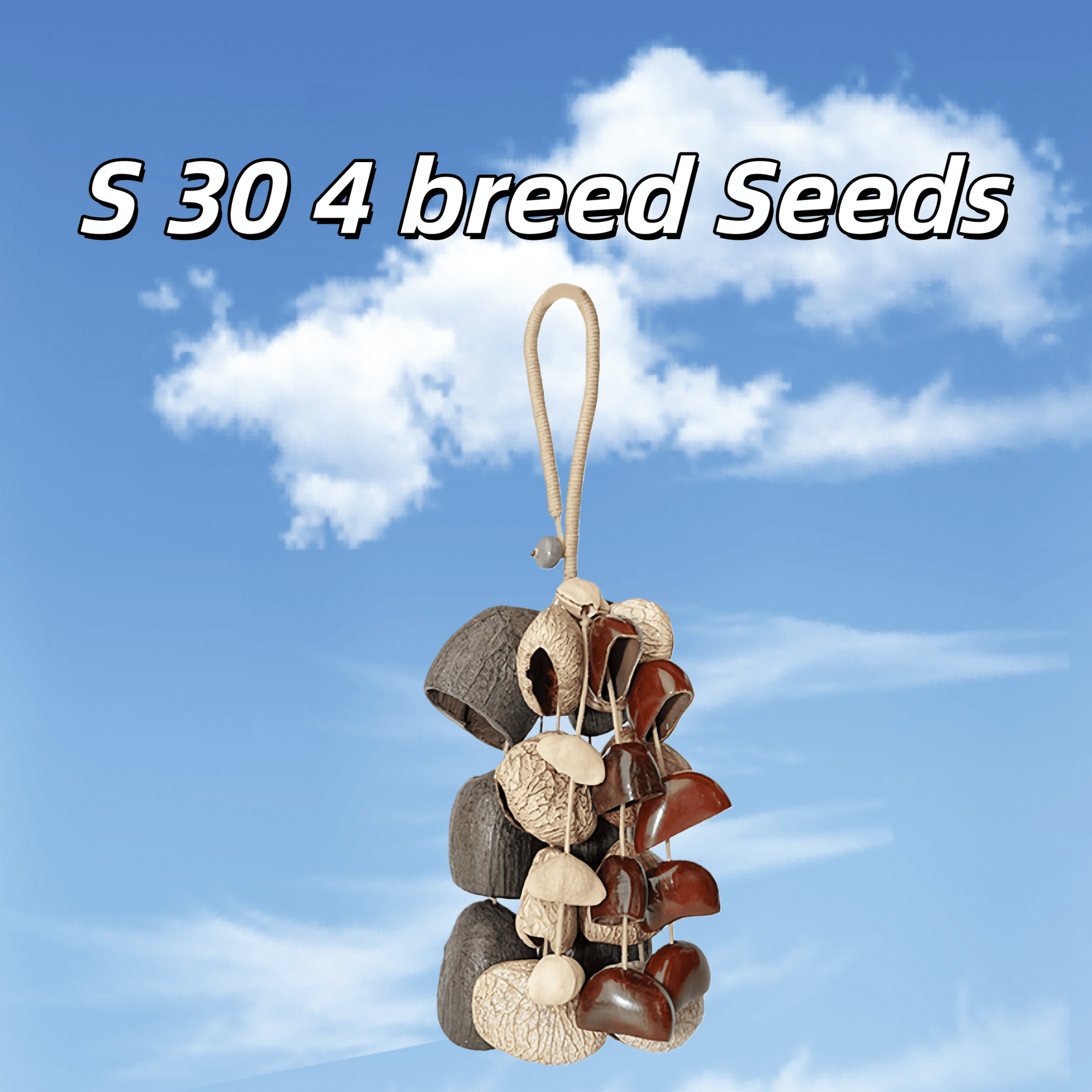 Seed Shaker | Handmade Entada, Pala Cardamom & Chacha Oleander Seed Shell Hand Bell– Natural Rainforest Sound
